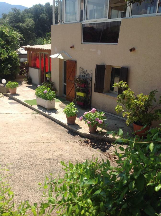Charmant Appartement 2 Pieces Eccica-Suarella  Exterior foto